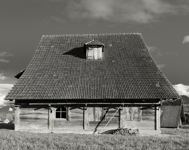 Weidhof, Udligenswil, 2014, Hahnemühlepapier auf Aluminium, gerahmt, 3/3, 60x50 cm